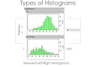 Data Representation with Various Types of Histograms