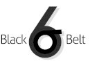 Lean Six Sigma Black Belt Project on Collections Improvement