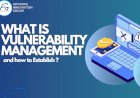 What is Vulnerability Management and how to  Establish ?