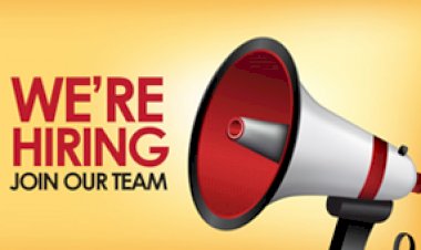 RPA – BLUE PRISM DEVELOPER