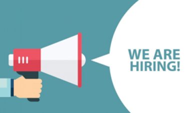 Analyst – IS Delivery Procurement For MNC Company in Mumbai.