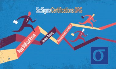 Lean Six Sigma Project LPI Reduction