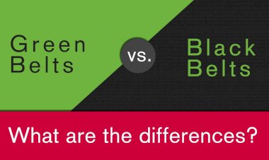 Difference between Green Belt and Black Belt Projects