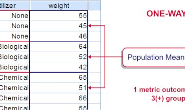 The Assumptions of One Way ANOVA Test