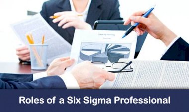 Skype Session 1- Roles of a Six Sigma Professional