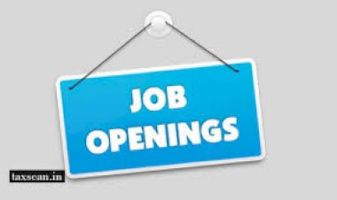 Senior Salesforce Project Manager