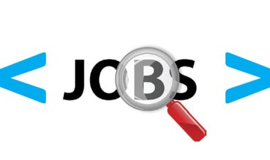 Deputy Project Manager