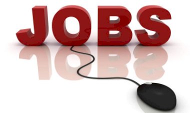 || Project Manager || DLT Labs
