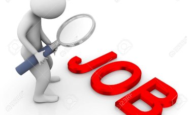 Advisor, Portfolio Management