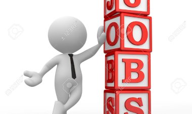 Medical Auditor