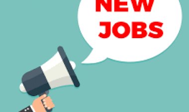 Senior Manager - Design Coordinator