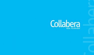 Senior Business Process Analyst