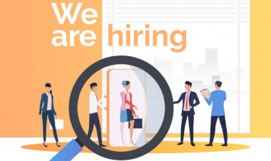 Software Developer