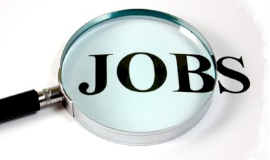 Senior Manager, Business Excellence