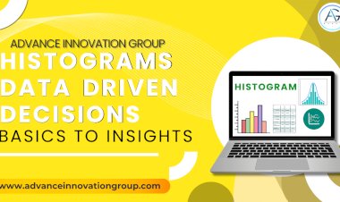 From Basics to Insights: How to Use Histograms for Data-Driven Decisions