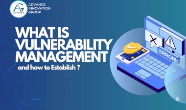 What is Vulnerability Management and how to  Establish ?